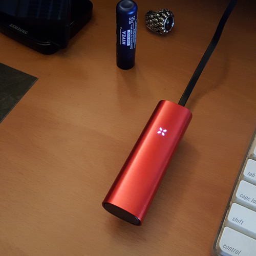 PAX2 C